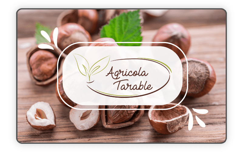 Agricola Tarable Gift Card